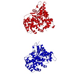 Image of CATH 1smi