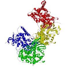 Image of CATH 1smj