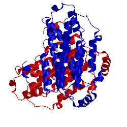 Image of CATH 1sms