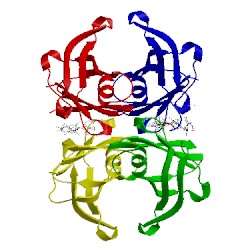 Image of CATH 1sn5
