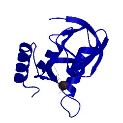 Image of CATH 1snc