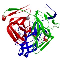 Image of CATH 1snf