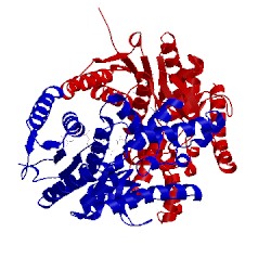 Image of CATH 1sow