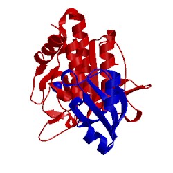 Image of CATH 1spb