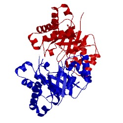 Image of CATH 1spq