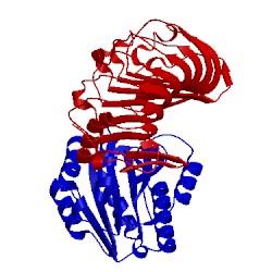 Image of CATH 1sq0