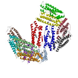 Image of CATH 1sq3