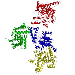 Image of CATH 1sq5