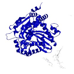 Image of CATH 1sqb