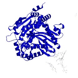 Image of CATH 1sqq