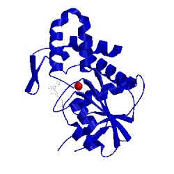 Image of CATH 1sto