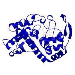 Image of CATH 1stq