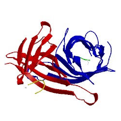 Image of CATH 1sts