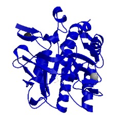 Image of CATH 1sub