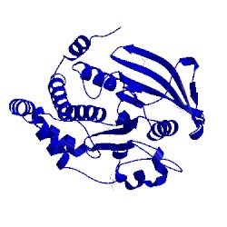 Image of CATH 1sug