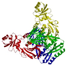 Image of CATH 1suw