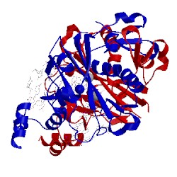 Image of CATH 1suz