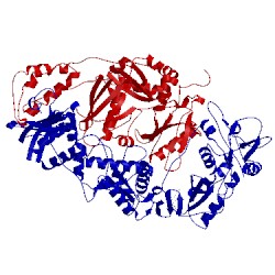 Image of CATH 1sv5