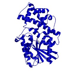 Image of CATH 1svk