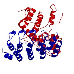 Image of CATH 1svx