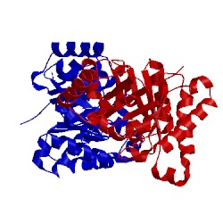 Image of CATH 1sw0