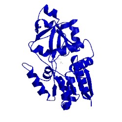 Image of CATH 1sw2