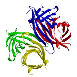 Image of CATH 1swb