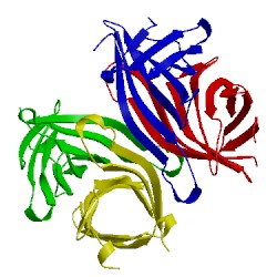 Image of CATH 1swh