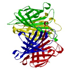 Image of CATH 1swj