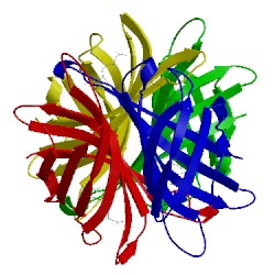 Image of CATH 1swk