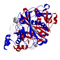 Image of CATH 1sx5