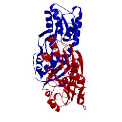 Image of CATH 1sxh