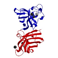 Image of CATH 1sxn