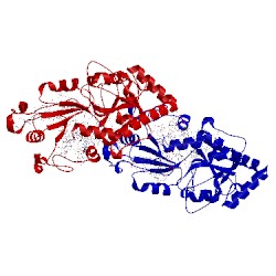 Image of CATH 1sxq