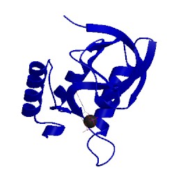 Image of CATH 1syb