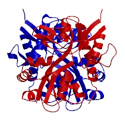 Image of CATH 1syi