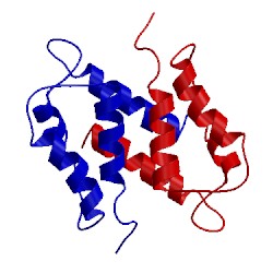 Image of CATH 1sym