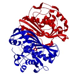 Image of CATH 1syn