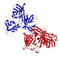 Image of CATH 1syo