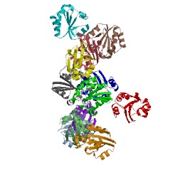 Image of CATH 1syr