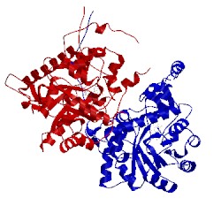 Image of CATH 1szg