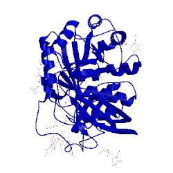 Image of CATH 1szn