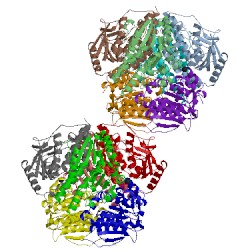 Image of CATH 1szo