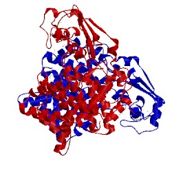 Image of CATH 1szq