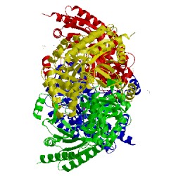 Image of CATH 1szs