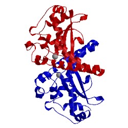 Image of CATH 1szx