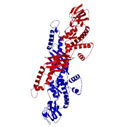 Image of CATH 1t11