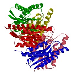 Image of CATH 1t13