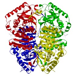 Image of CATH 1t2f