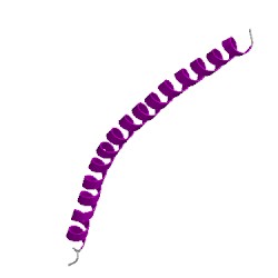 Image of CATH 1t2kC